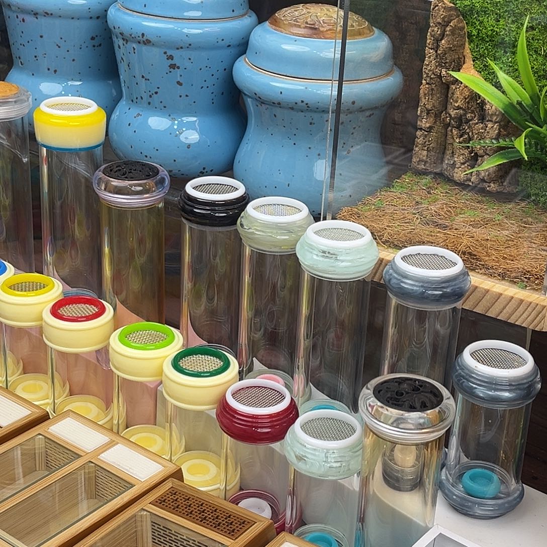 要***？短须蛙坊1只哈哈哈哈