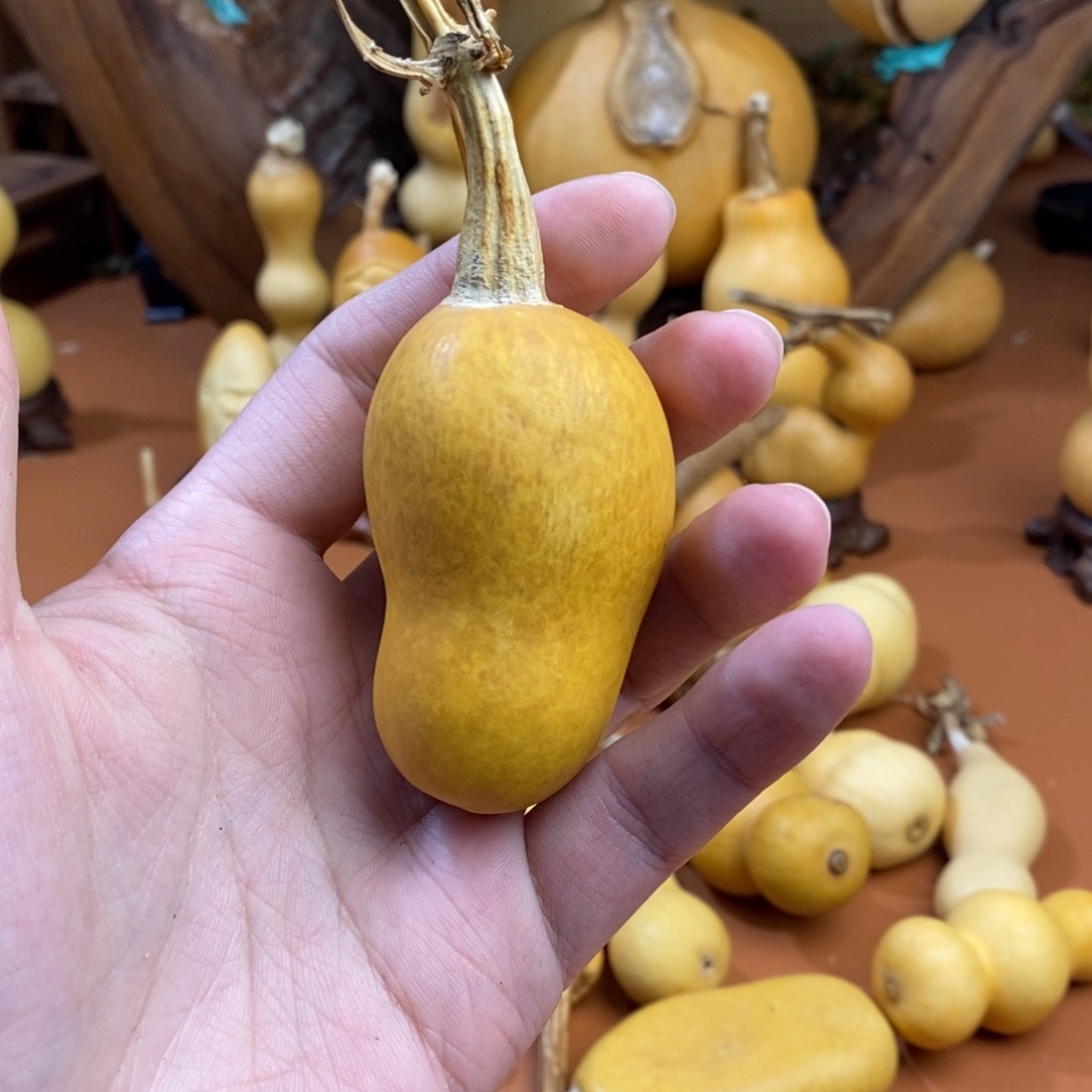 佛***人教练咯哦哦哦哦哦哦咯