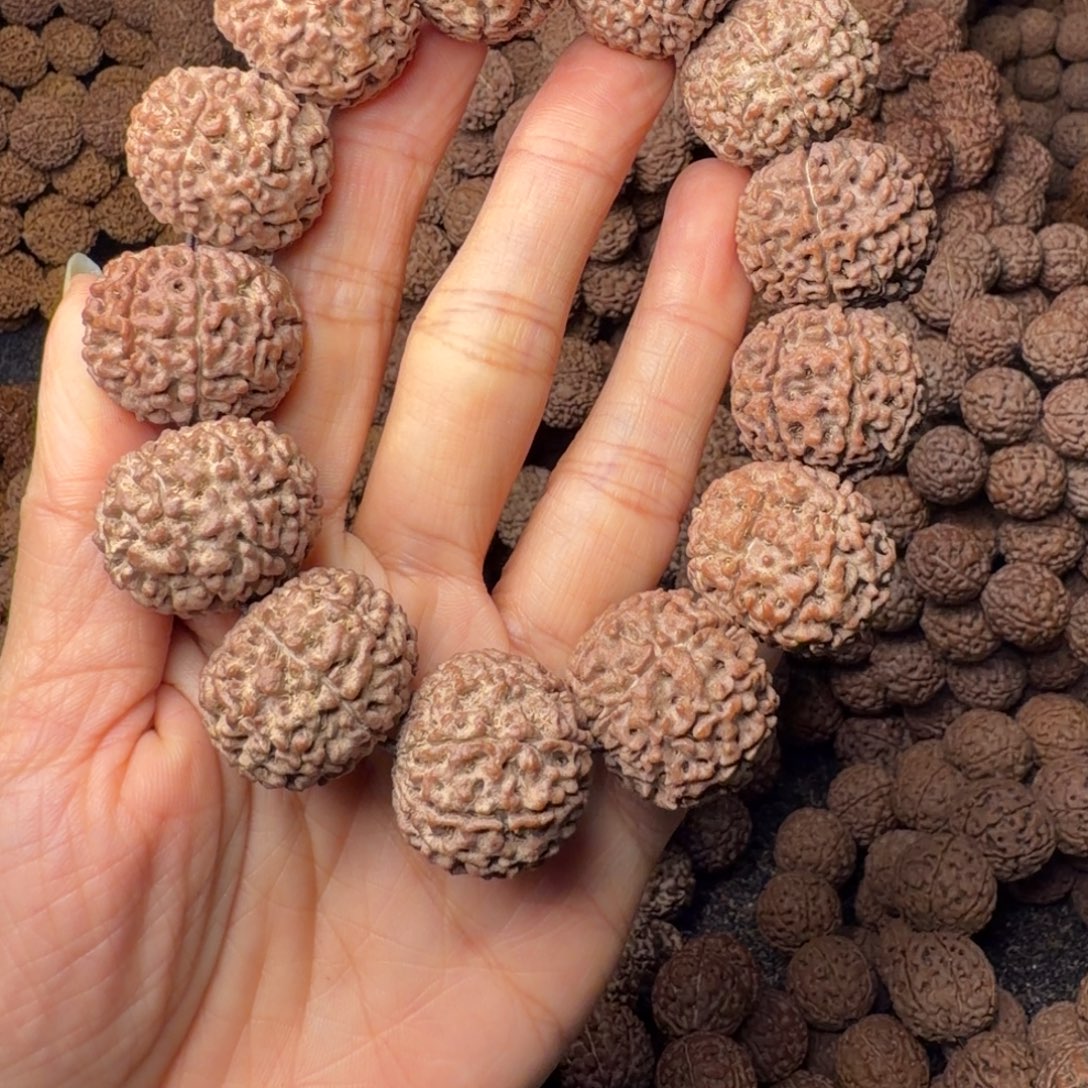 金刚菩提手串8瓣卡24尺，27号