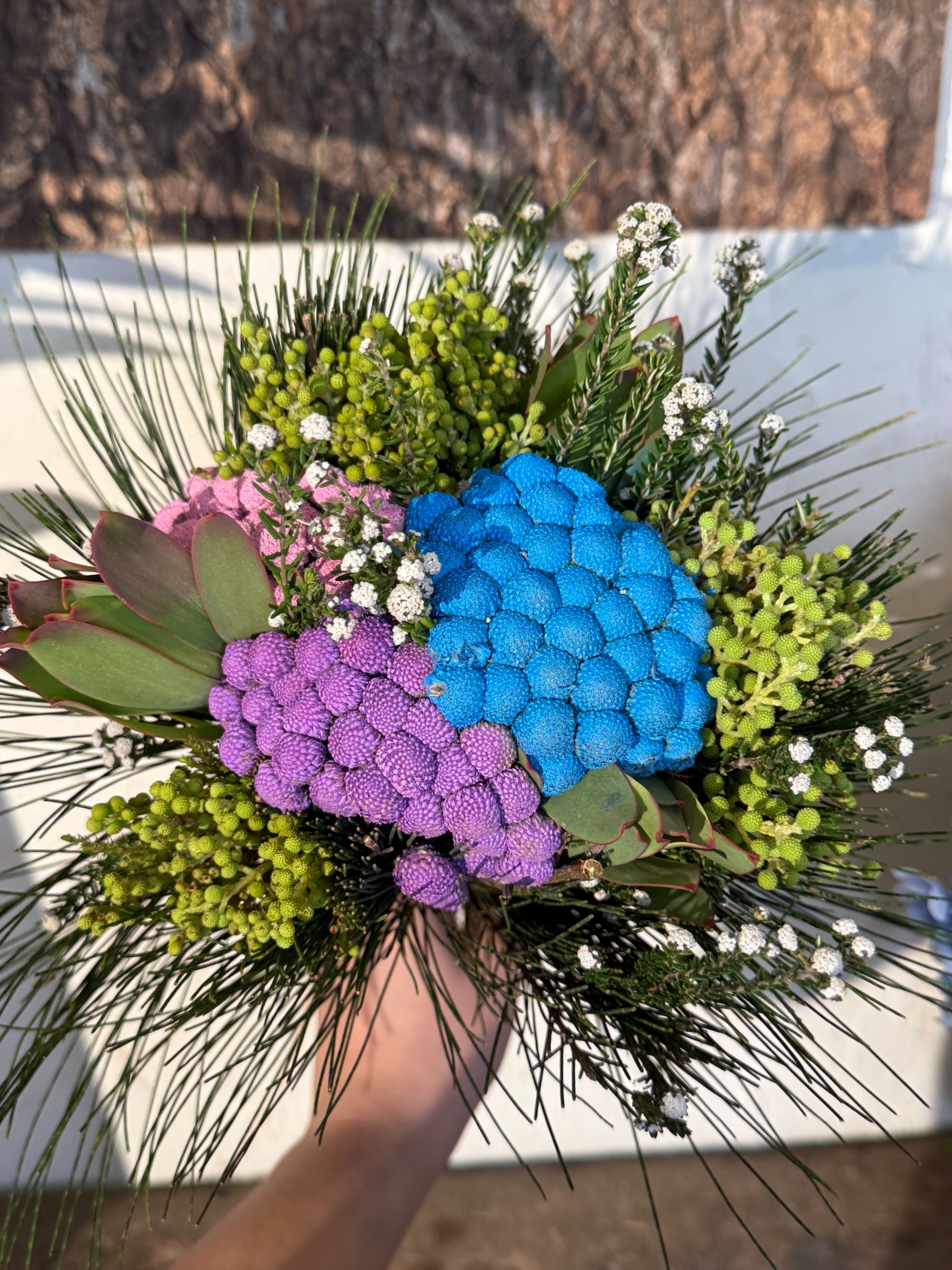 【七礼夫人】南非进口珊瑚果混色花束 小众进口新品花材 可做干花