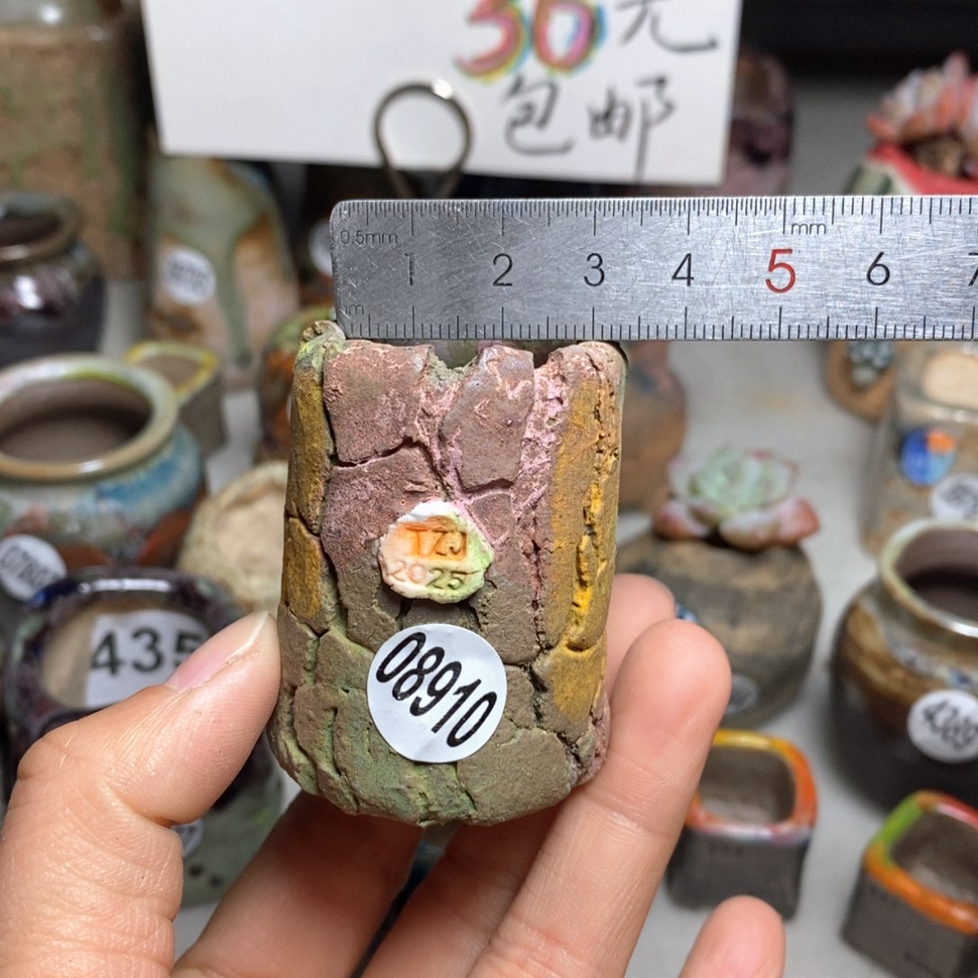 花盆拍3送一个小礼物