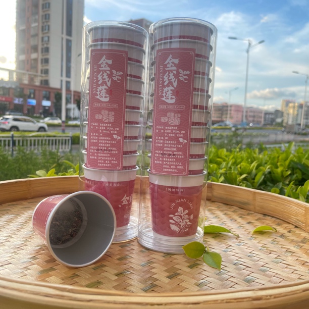 金线莲随手杯 20杯/罐 茶办公室接待居家接待方便 送礼