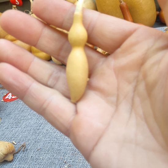 1****葫芦娃娃娃娃娃娃娃娃娃娃娃娃