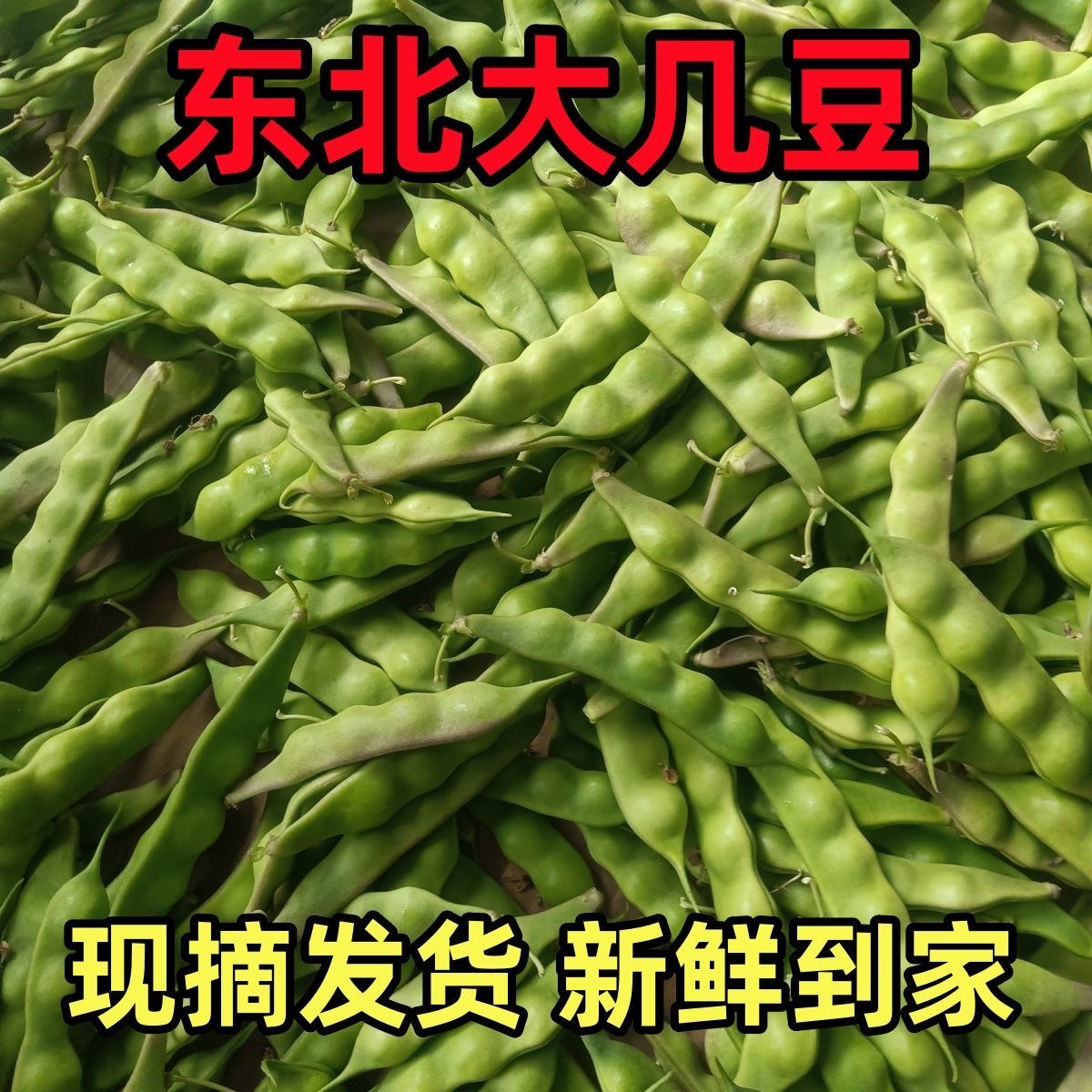 【东北几豆角】新鲜现摘无筋不柴当季蔬菜油豆角几豆农家种植开锅烂