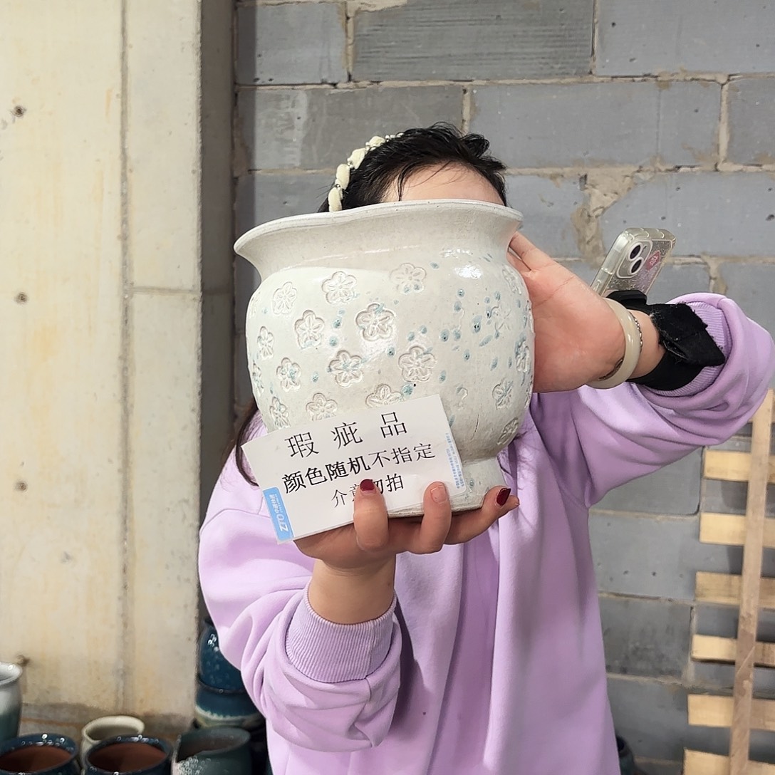 瑕疵一个20/20紫砂会谈