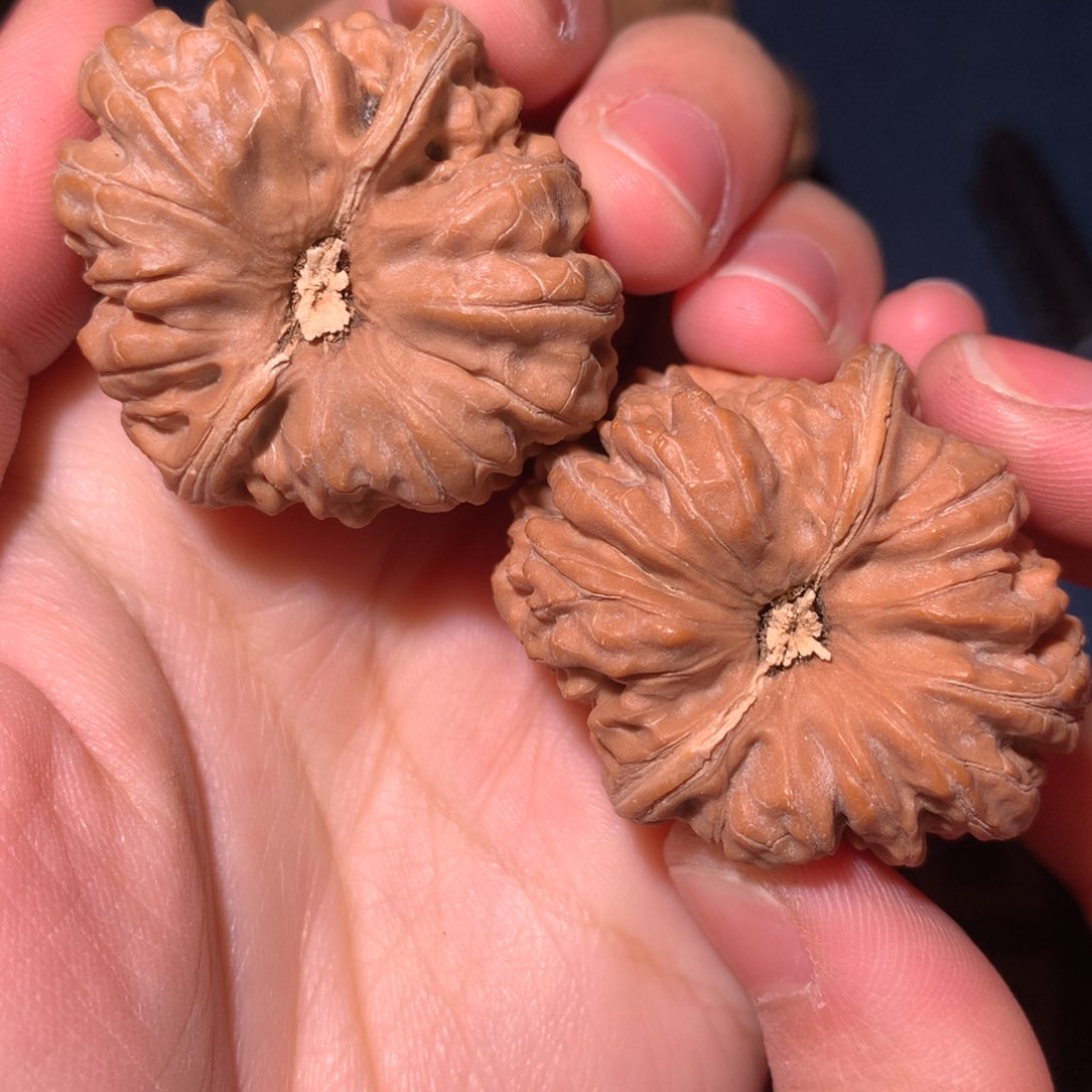 文玩核桃把件全品凹底36