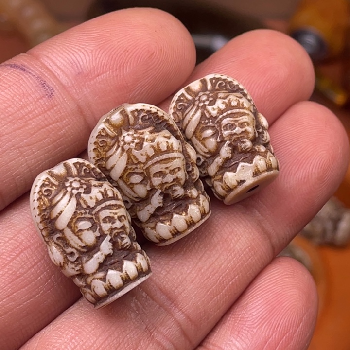 驼骨其他人工养殖