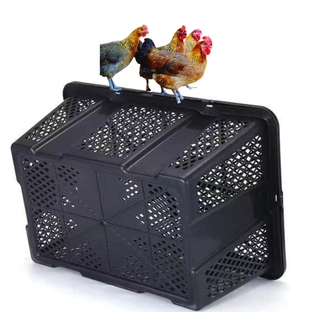 红瑶鸡七只礼盒发货带大框发货