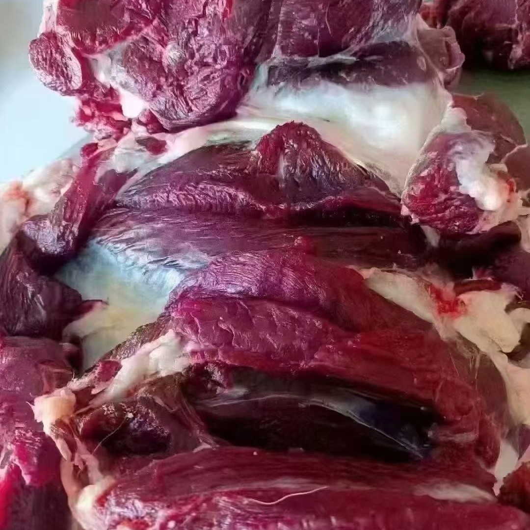 吉林长春鹿乡源头鹿场鲜鹿肉   腿腿肉   