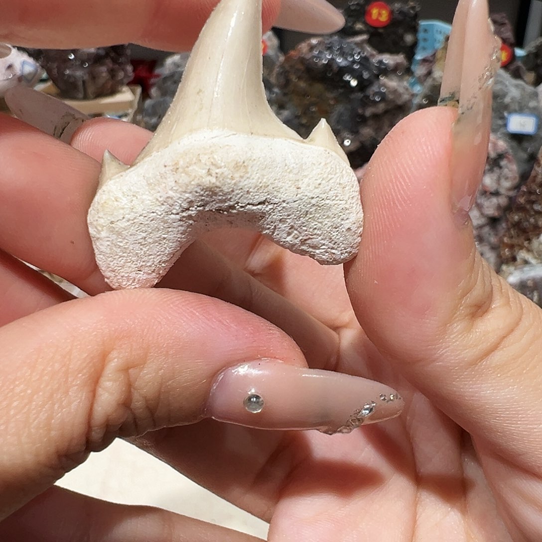 摩***森石材摩洛哥沧龙牙