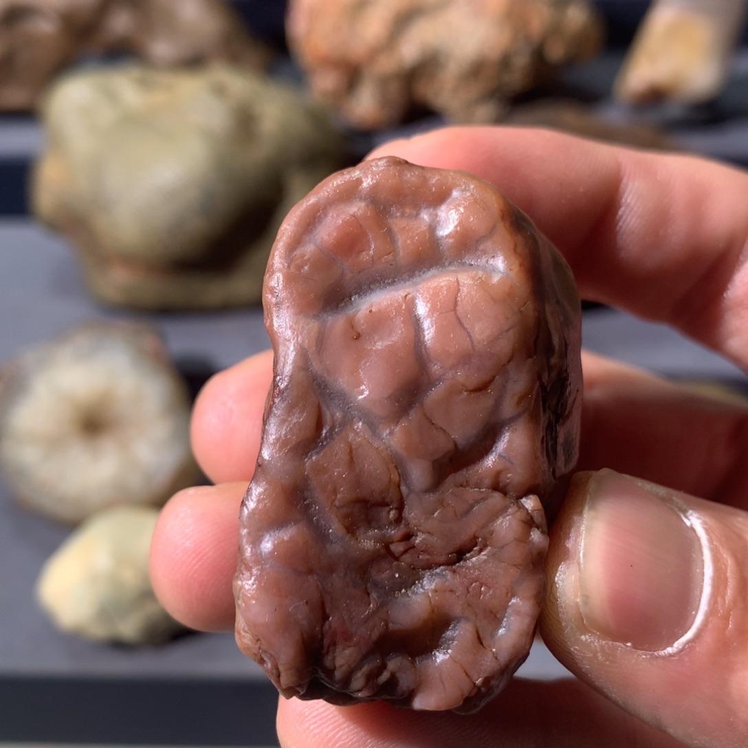 有机玻璃11 阿拉善奇石