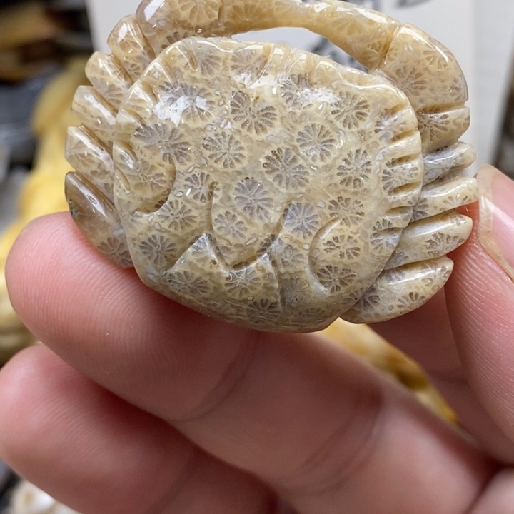 硅化珊瑚（珊瑚玉）未镶嵌颈饰