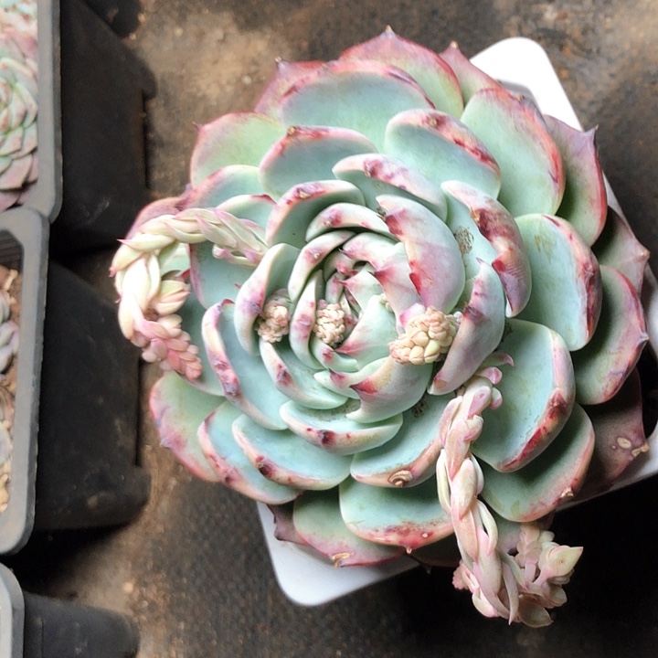 你****？53//////////////////////