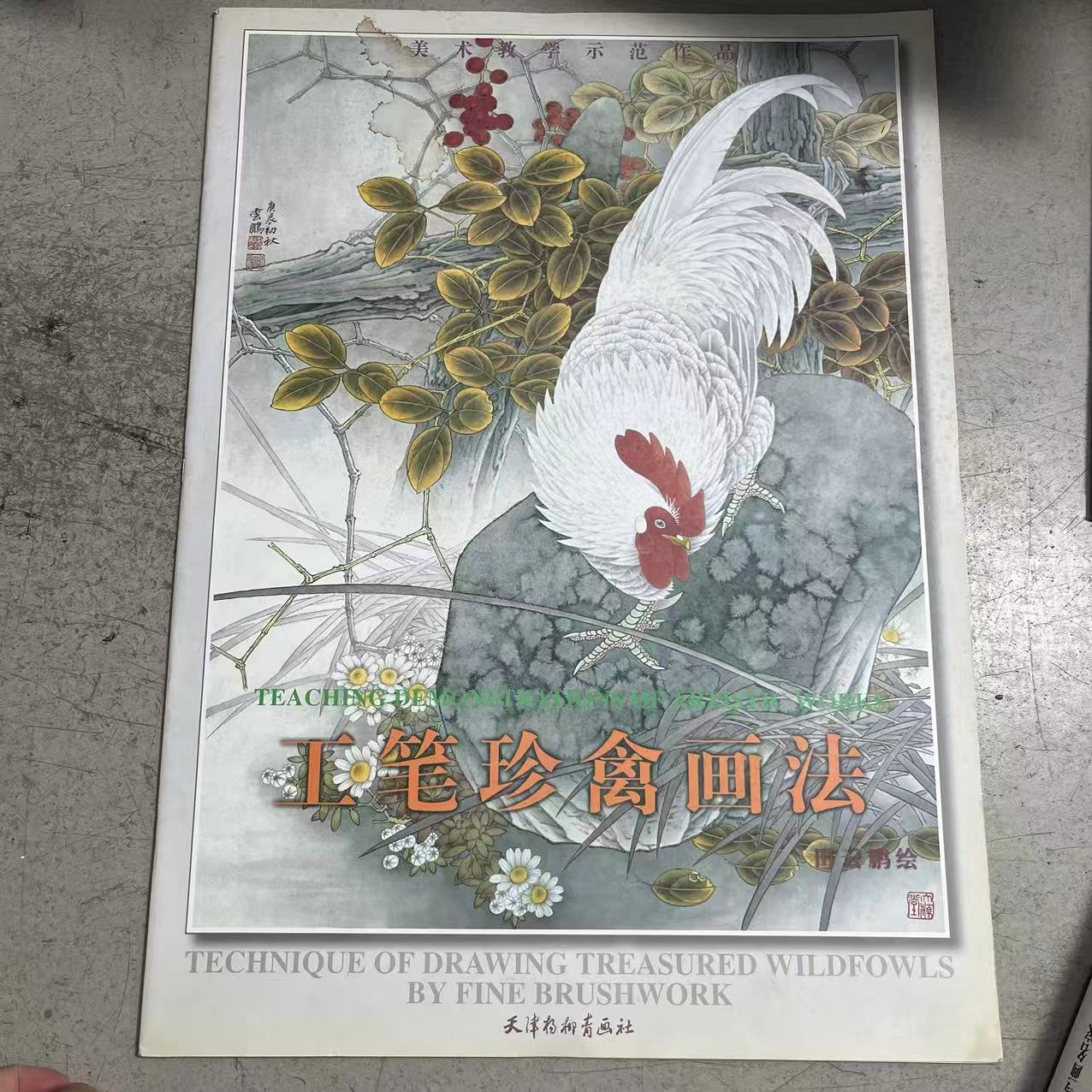 微瑕 4开 工笔珍禽画法 天津杨柳青出版社