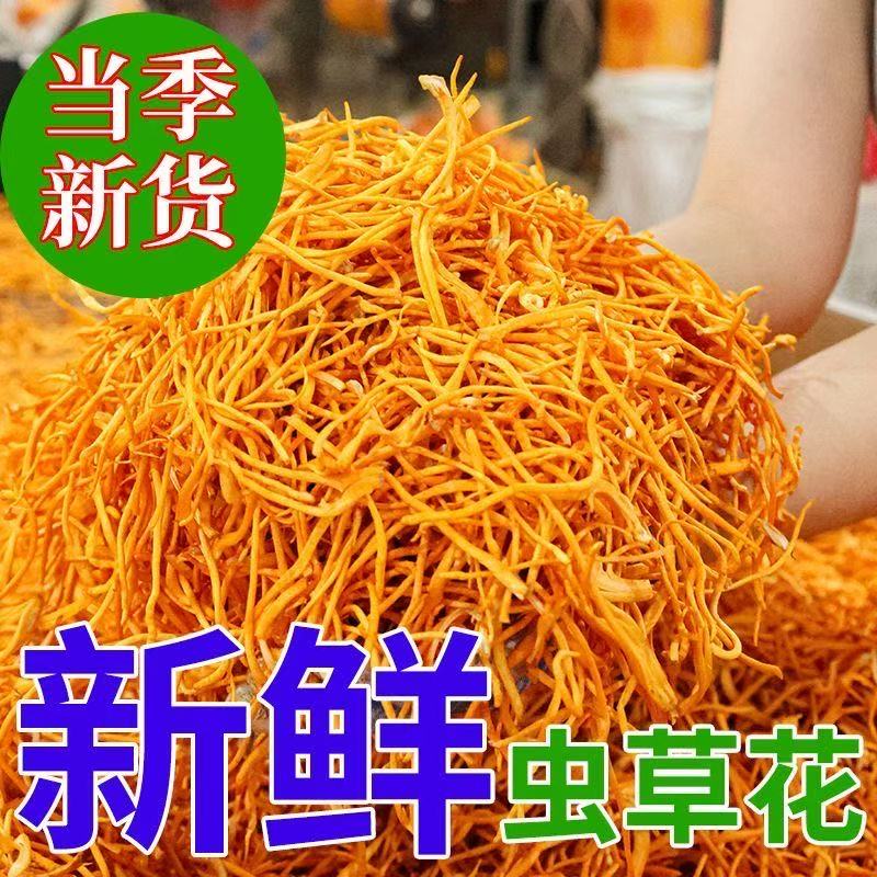精选新鲜虫草花当季新鲜金虫草花煲汤炖汤炒菜正品虫草菇鲜货