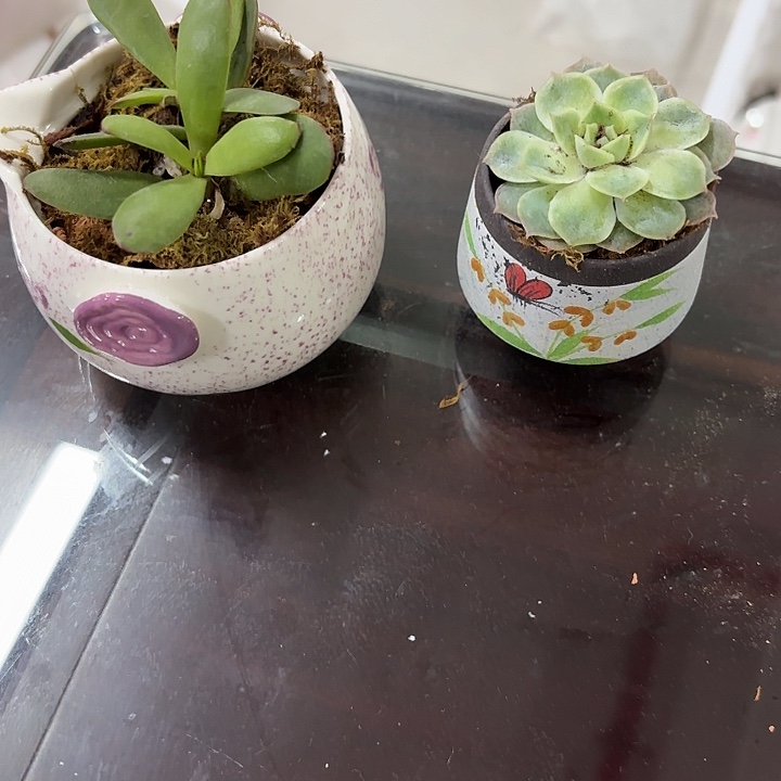 哭哭哭出来出来出来出来出来出来出来吃