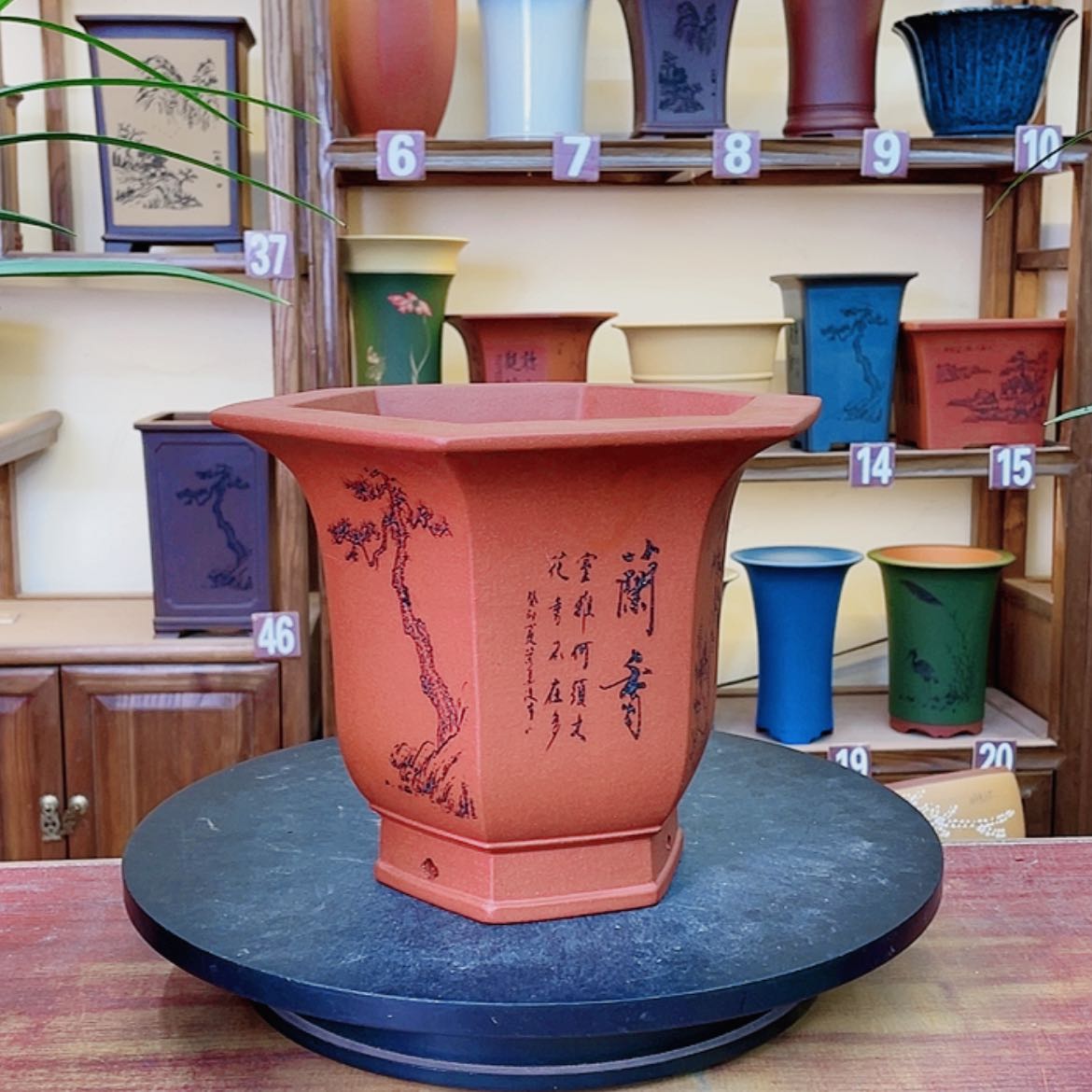 【闪购商品】紫砂花盆国*亭兰花72558577555866988