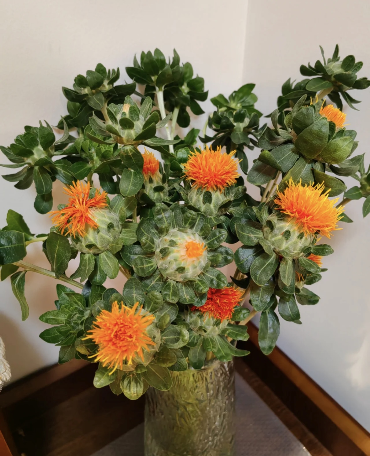 顺顺 橙菠萝 拍2单以上升级快递 