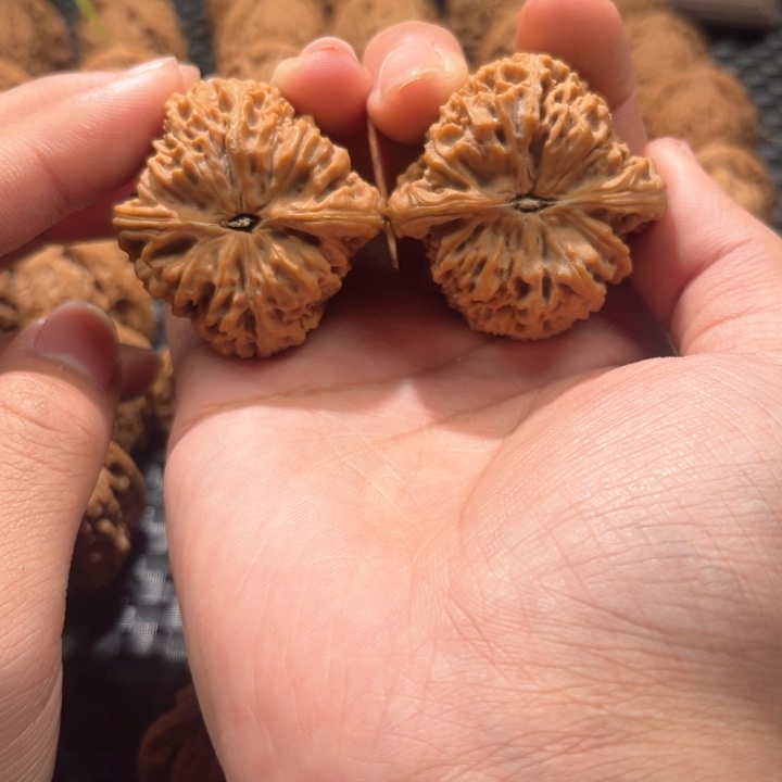 o*O南疆石41尺南疆