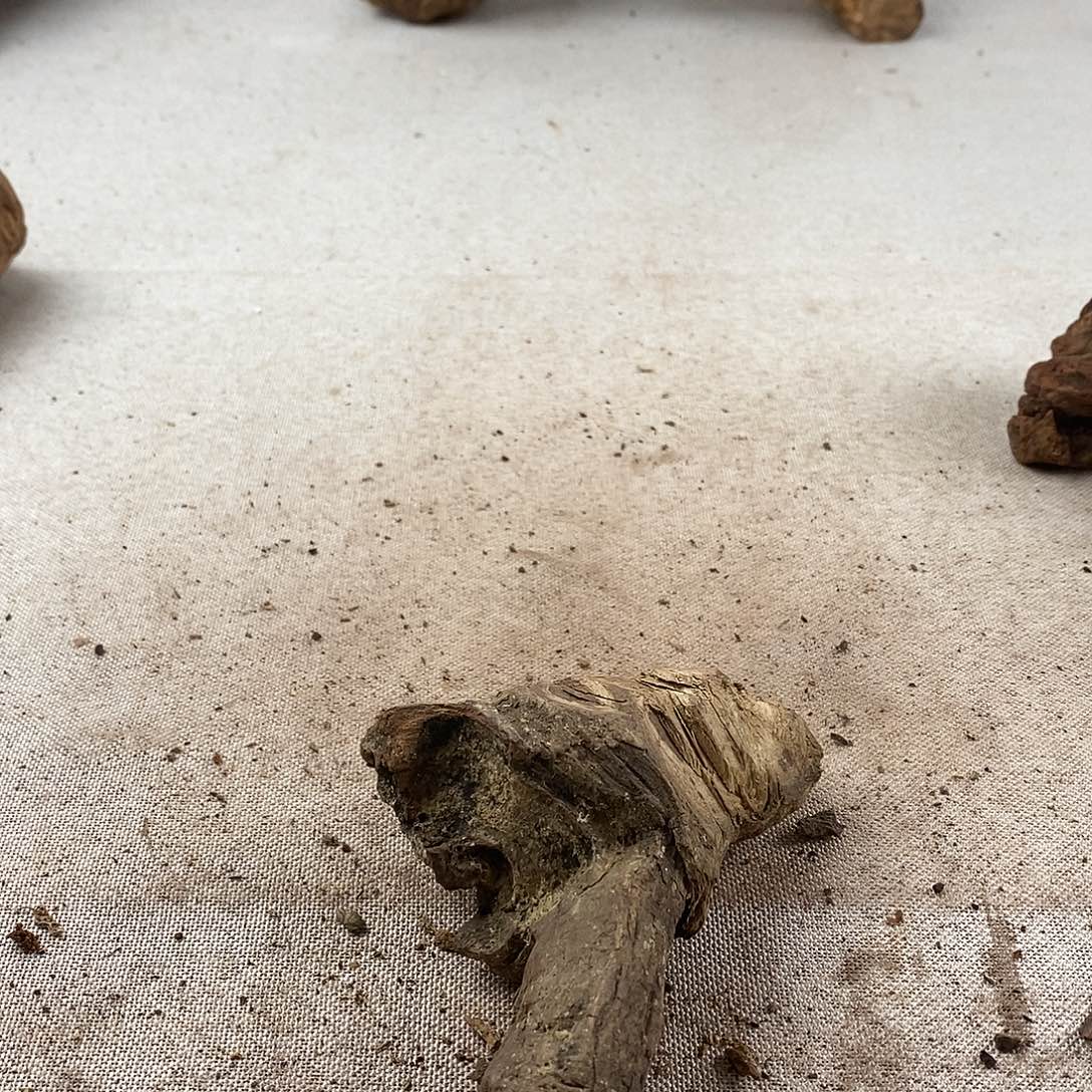 山***客黄花梨/降香黄檀黄花梨随形料子