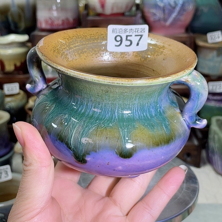 狼盆内口径7高度8