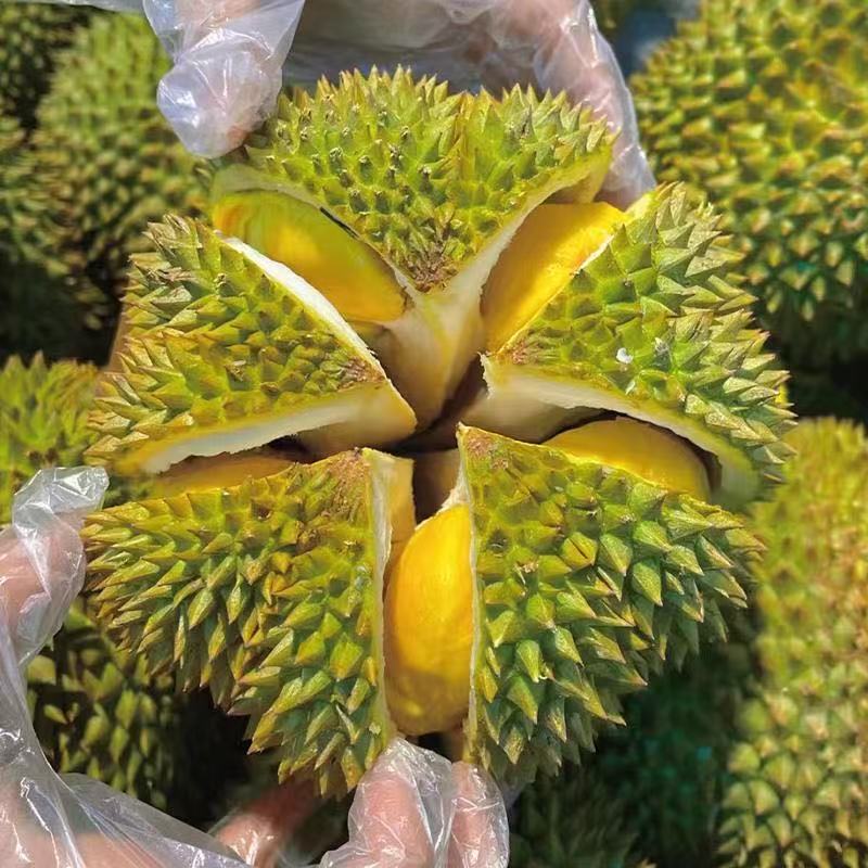 【A】泰国榴莲长猫山王新鲜鲜果15-16斤净重顺丰包邮核大干尧泰国东部