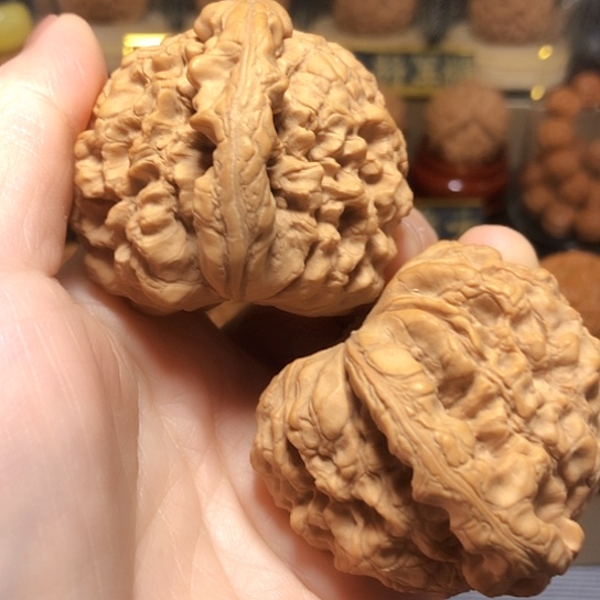 精品野生高端品龙鼎