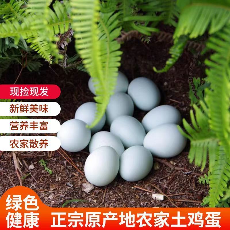 正宗散养深山绿壳乌鸡蛋土鸡蛋新鲜当日现捡营养健康