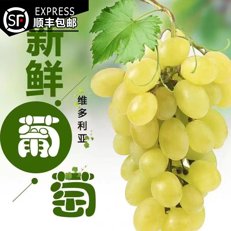 【顺丰包邮】维多利亚青提新鲜采摘当季葡萄清甜爆汁带箱2斤/带箱3斤/带箱5斤山东省