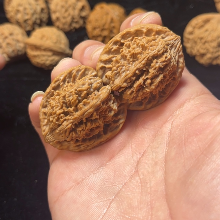 文玩核桃满天星37