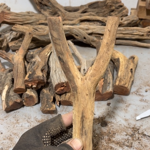 大果紫檀（缅甸花梨）凉