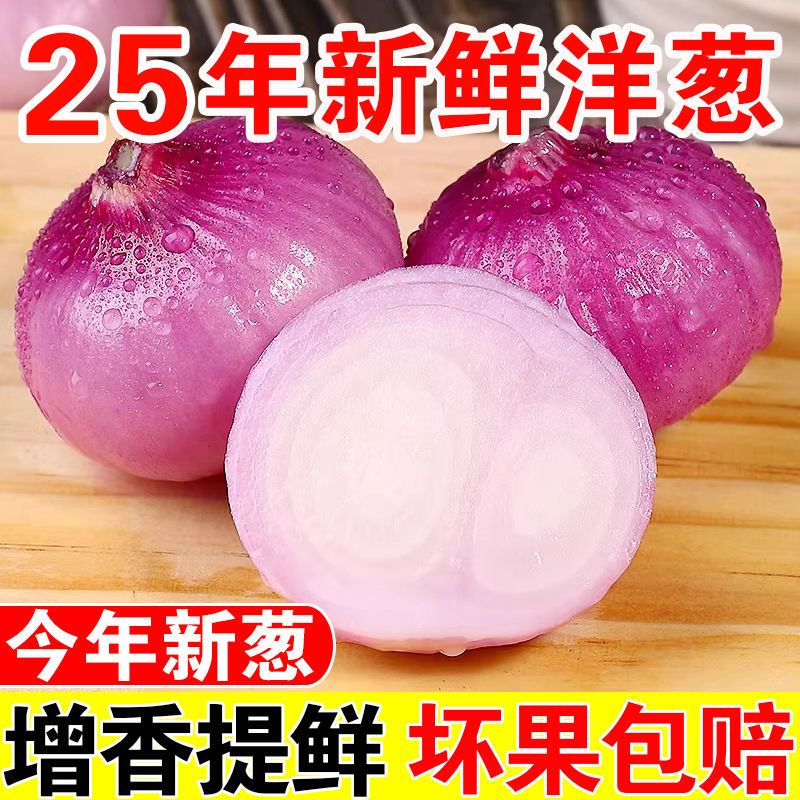 【当天现拔】河南紫皮洋葱红皮生吃水果洋葱新鲜现挖当季蔬菜9斤