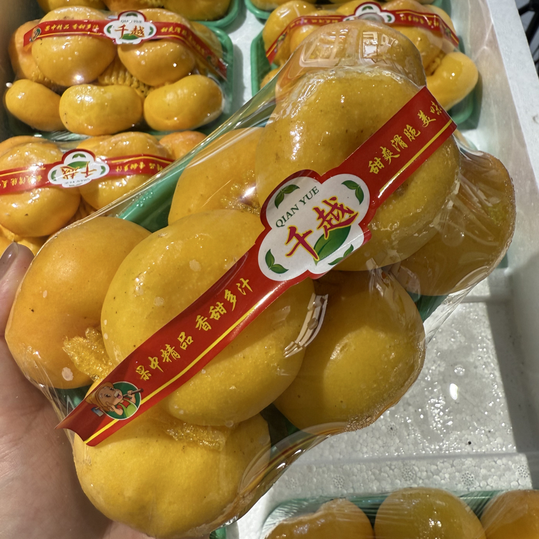 纽扣蟠桃约1.2斤/盒大连
