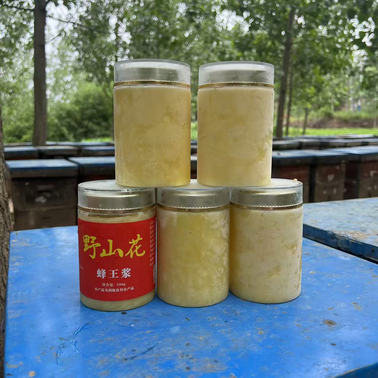 （拍8送3）超值装 野山花蜂王浆 高活性营养 天然滋补好物