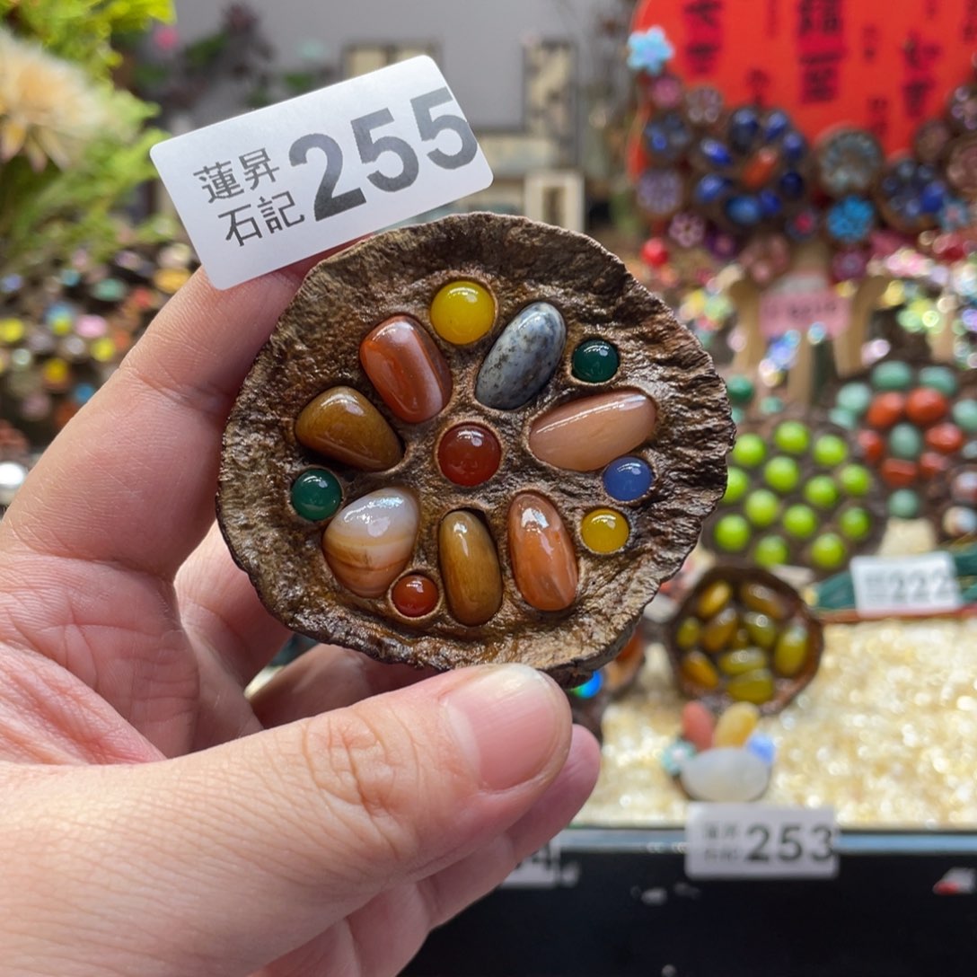 核桃木/黑胡桃（胡桃木）255