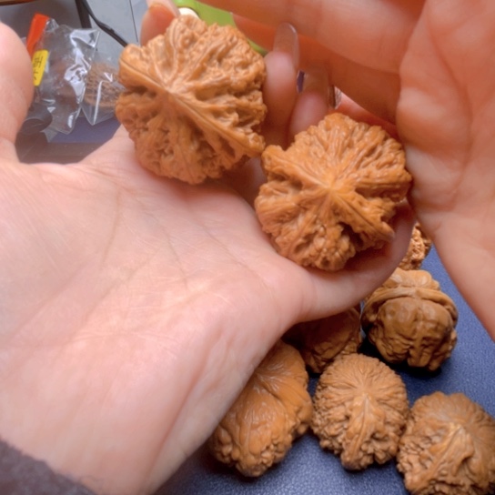 文玩核桃吊坠大粗筋