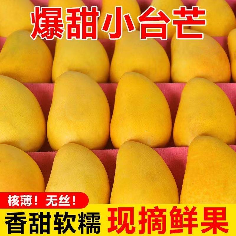 M【需催熟食用】云南正宗小台农芒果应季水果新鲜采摘整箱6斤包邮