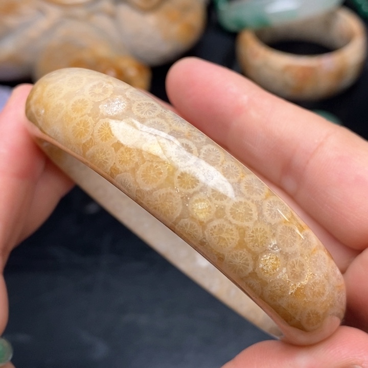 硅化珊瑚（珊瑚玉）手镯未镶嵌61