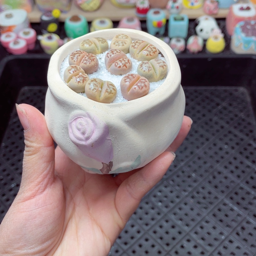 w5149 带盆土发货-零下地区拍保温箱