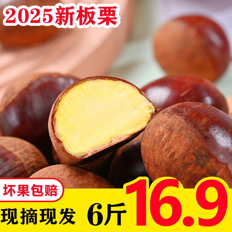 【农家自种】现摘现发2025年板栗新鲜东北栗子正宗香甜软糯粉面甜