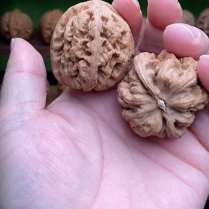 也***晴文玩核桃吊坠粗筋