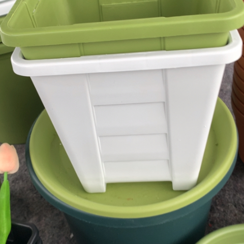 红陶22白方无托3个