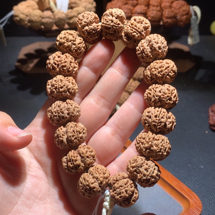 菩提籽类21+梁梅花桩定制