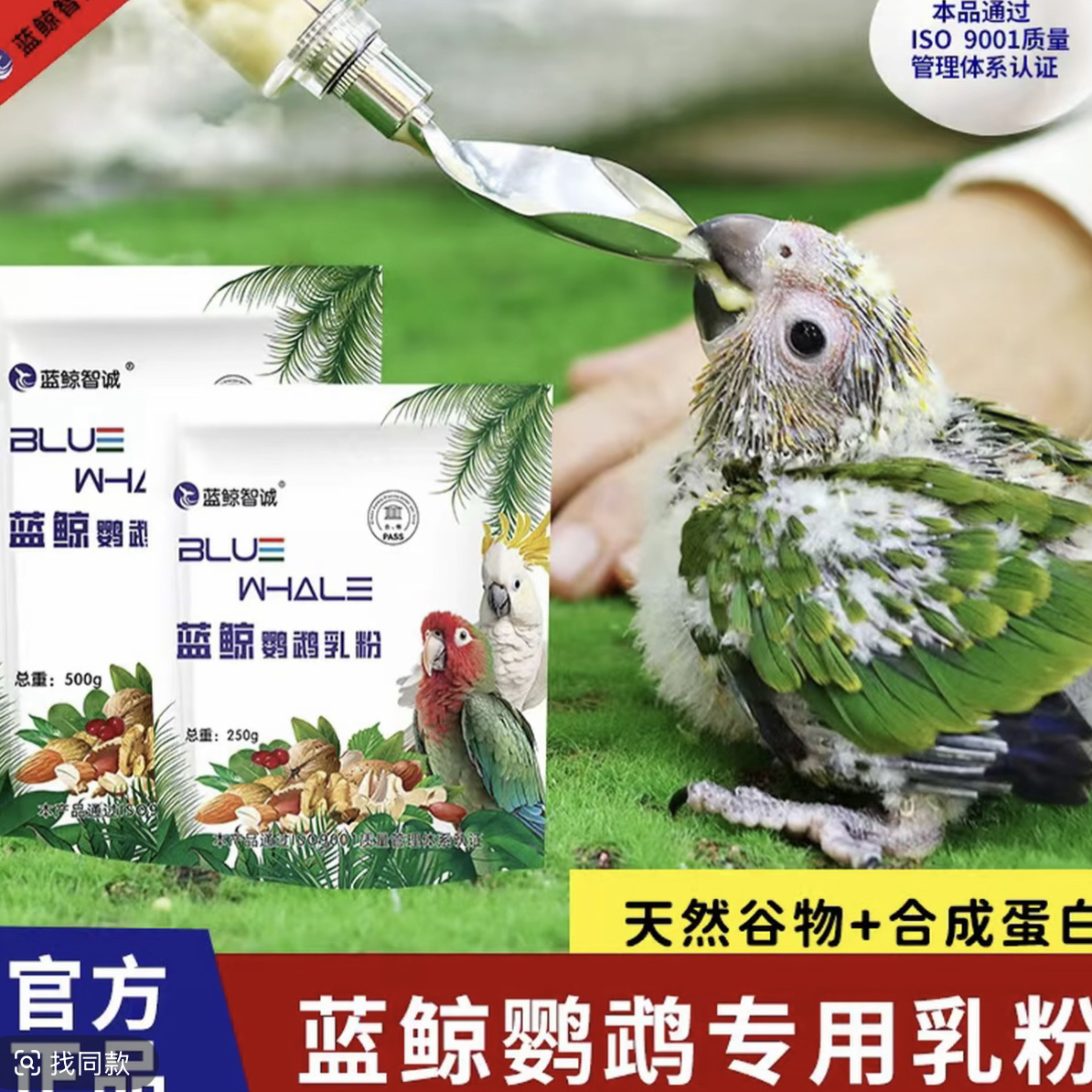 手养鹦鹉专用奶粉天然易消化适合虎皮牡丹玄风雏鸟饲养