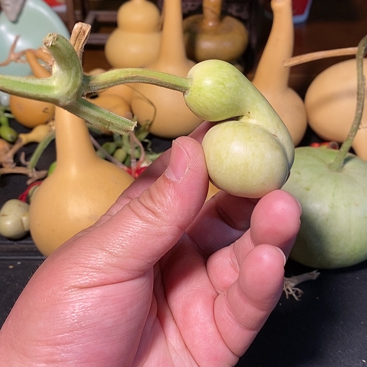 北**城精品葫芦手把葫芦68