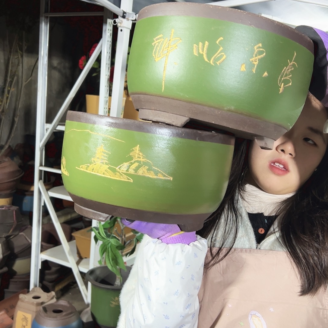 30+30描金球盆花盆花盆