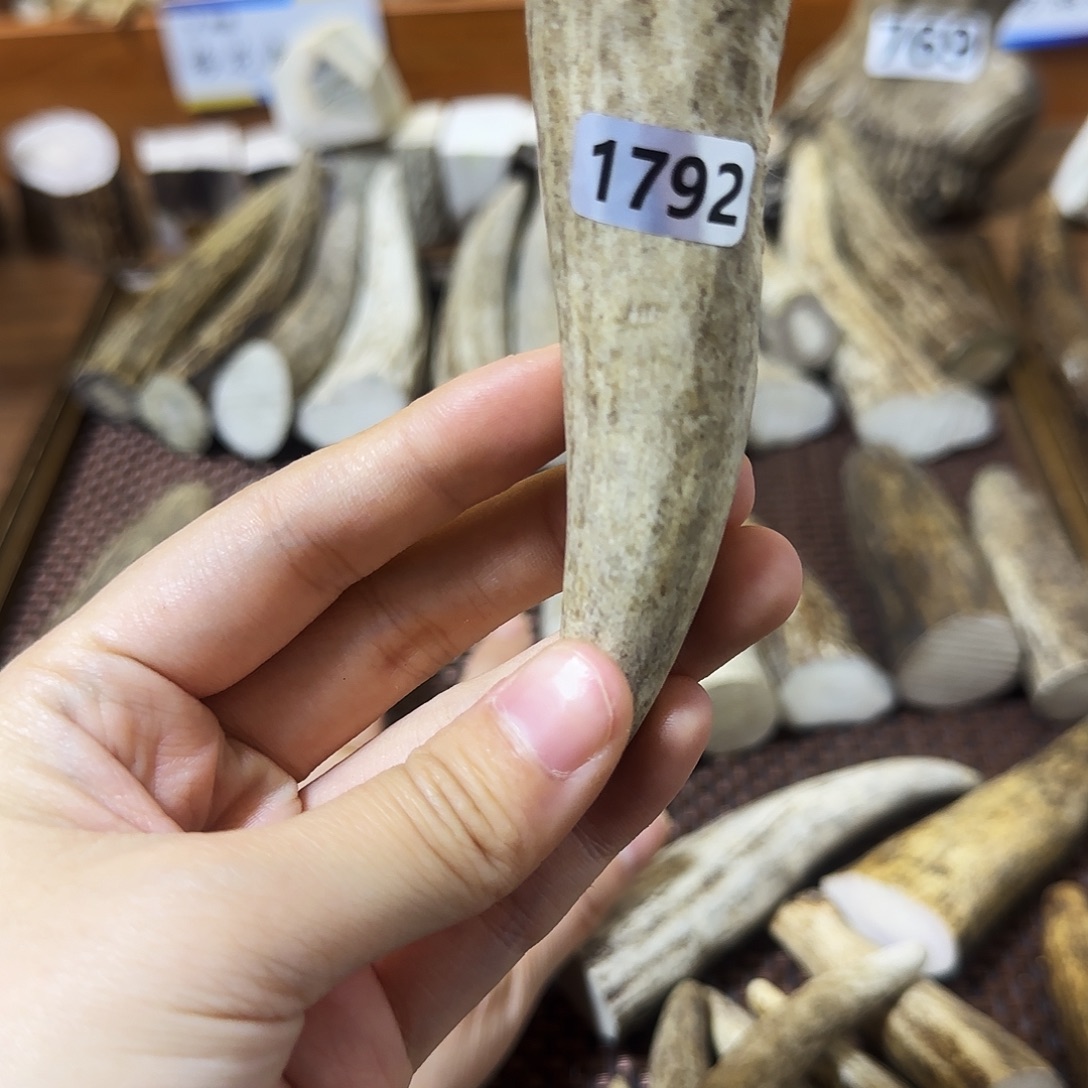 风***顺鹿骨手串/手链1792角尖