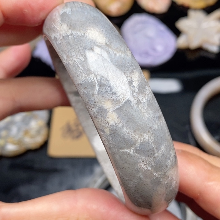 硅化珊瑚（珊瑚玉）颈饰未镶嵌60