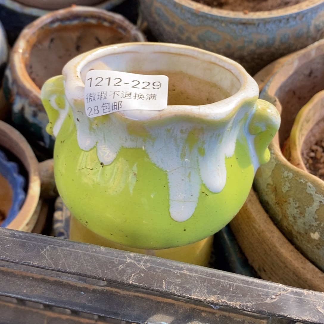 229号多肉盆口径7