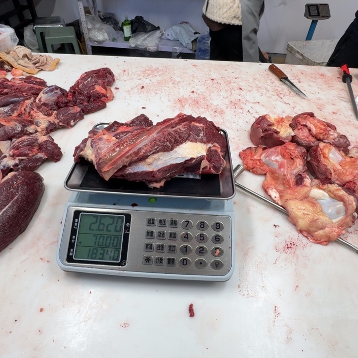 小***龙9个月中国大陆前腿肉